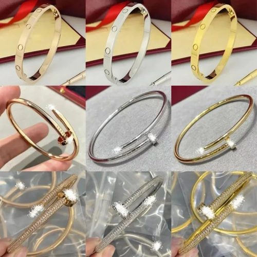 Cartier Love and Juste un Clou Luxury Bracelet Collection Multicolor
