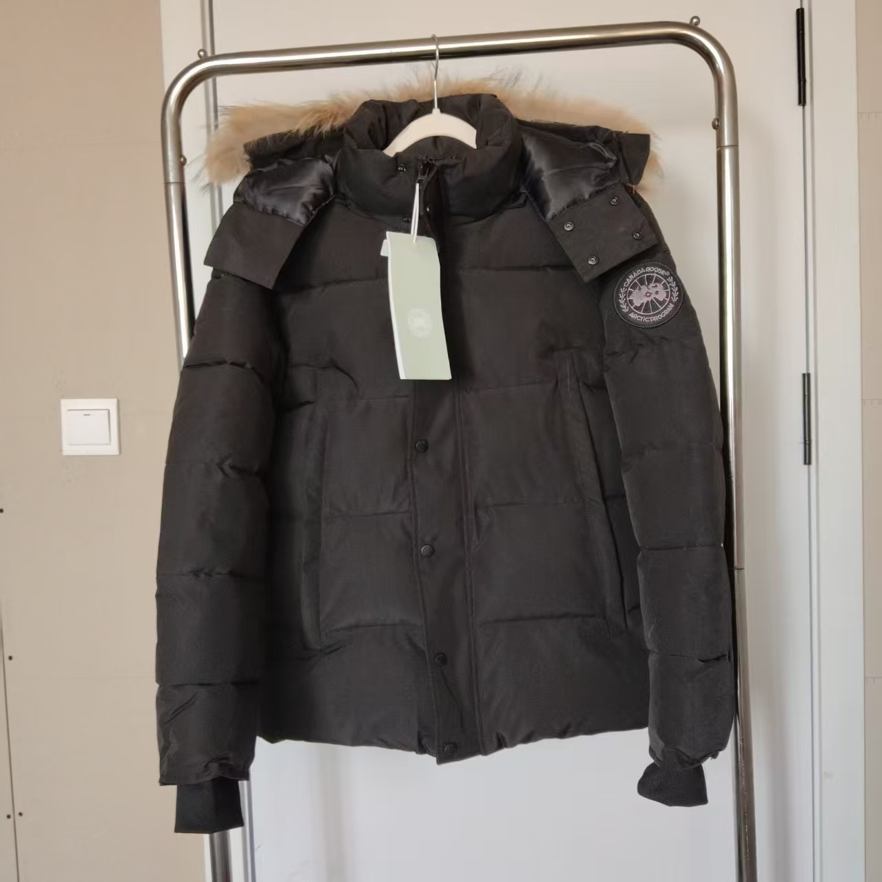 Canada Goose11 Canada Goose11
