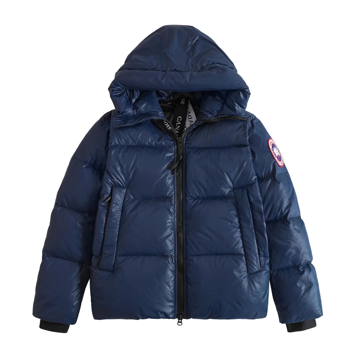 31 31