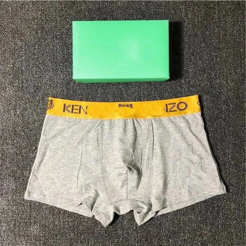 6 6