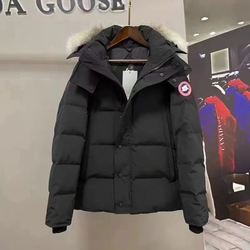 黑色 黑色