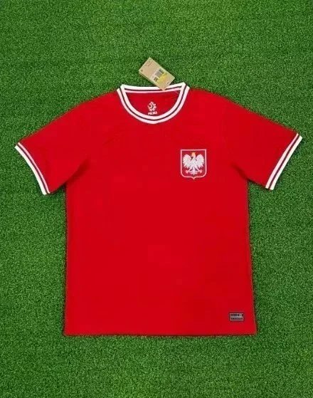 23波兰国家队 23波兰国家队