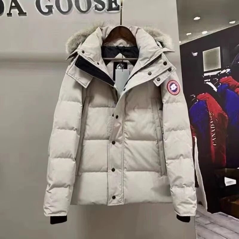 29乳白色红标毛领