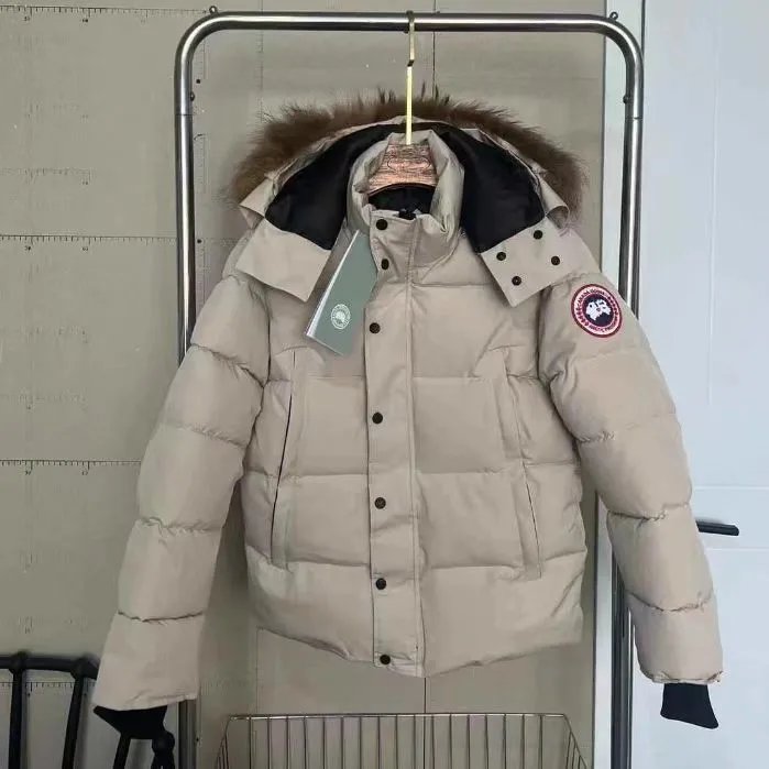 43 43