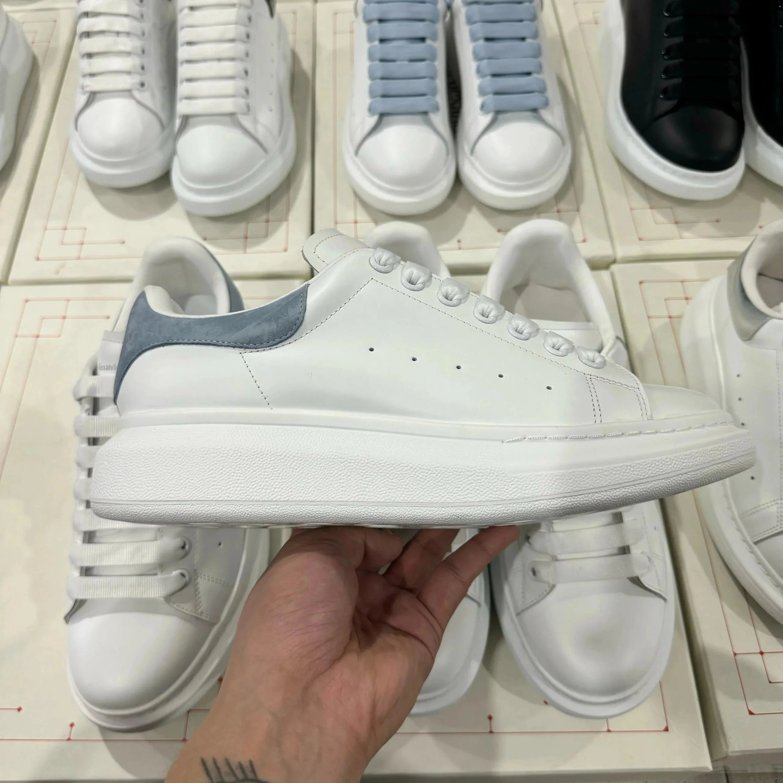 白蓝绒尾