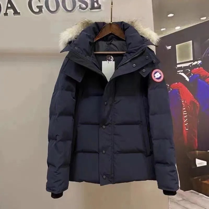 藏青色 藏青色