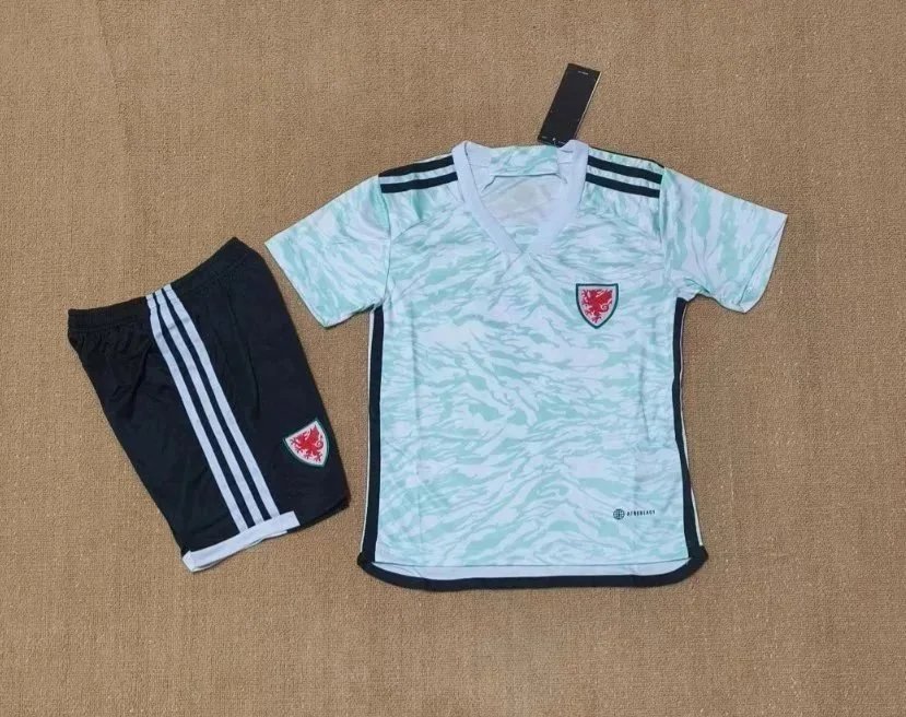 24-25 Wales away 24-25 Wales away