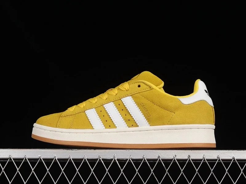 24 24